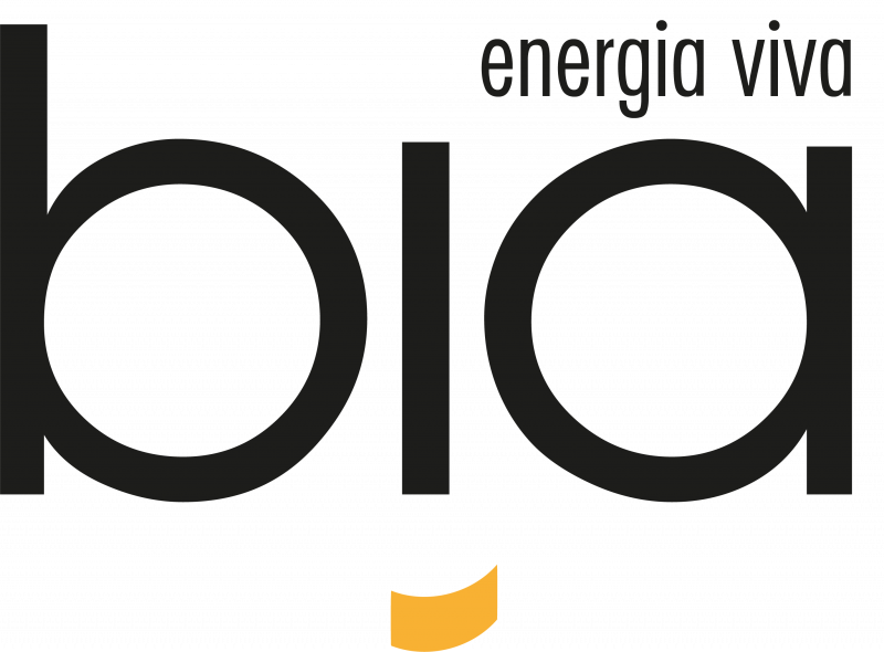 Logo di BIA - Energia Viva, design moderno con scritta in nero e accento arancione sotto la lettera i che richiama un sorriso; la b minuscola e la a rappresentano gli occhi del viso sorridente. Le lettere B, I e A rappresentano anche le iniziali dei nomi dei soci.